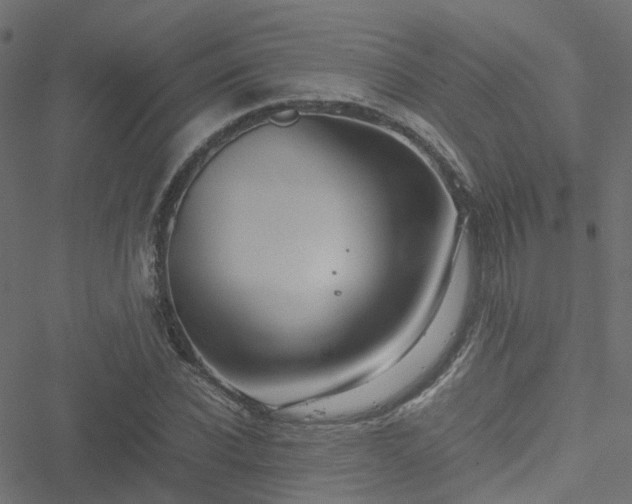 X0000051250926200506241543