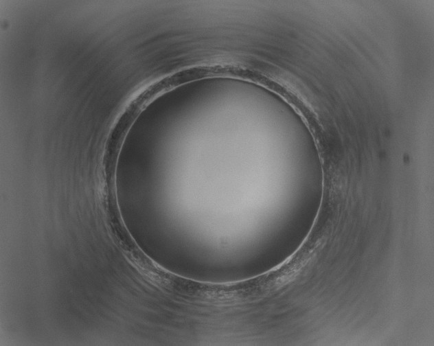 X0000051250927200506241543