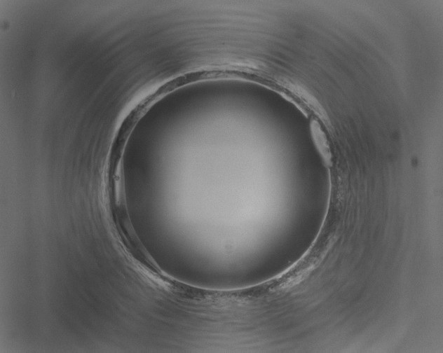 X0000051250928200506241543