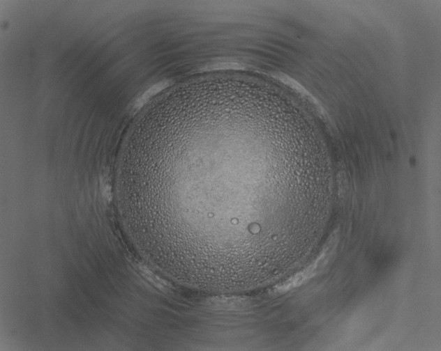 X0000051250929200506241543