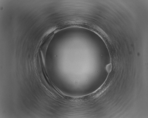 X0000051250930200506241543