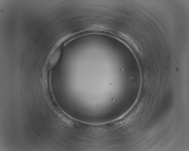 X0000051250931200506241543