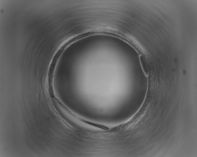 X0000051250932200506241543