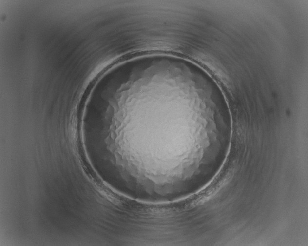 X0000051250933200506241543