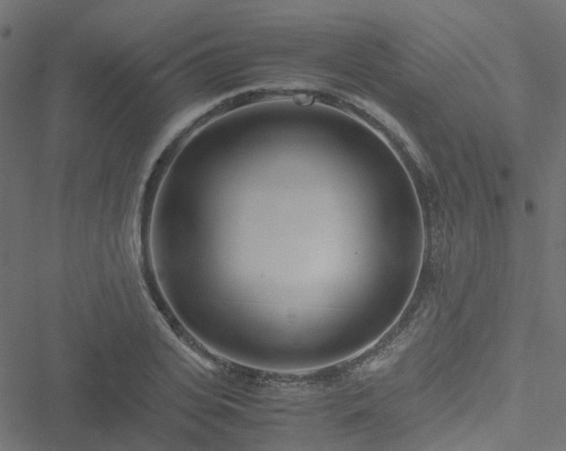 X0000051250935200506241543