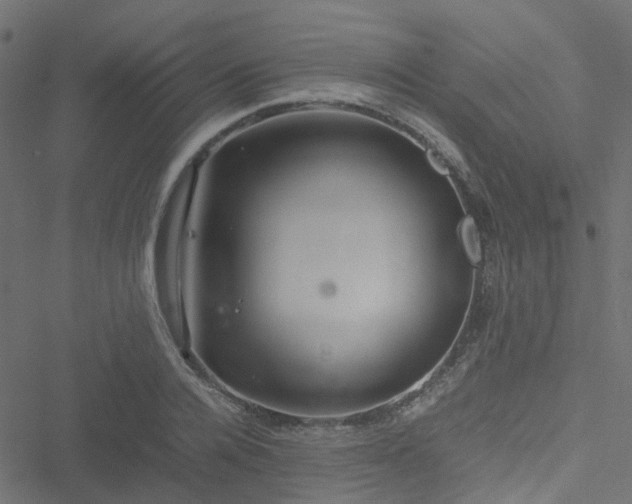 X0000051250936200506241543