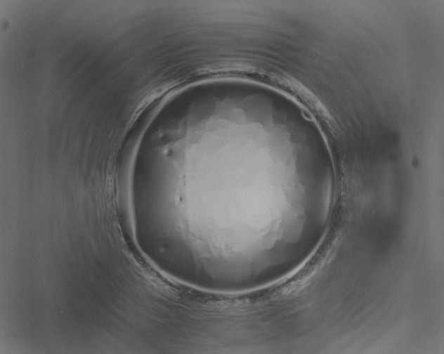 X0000051250937200506241543