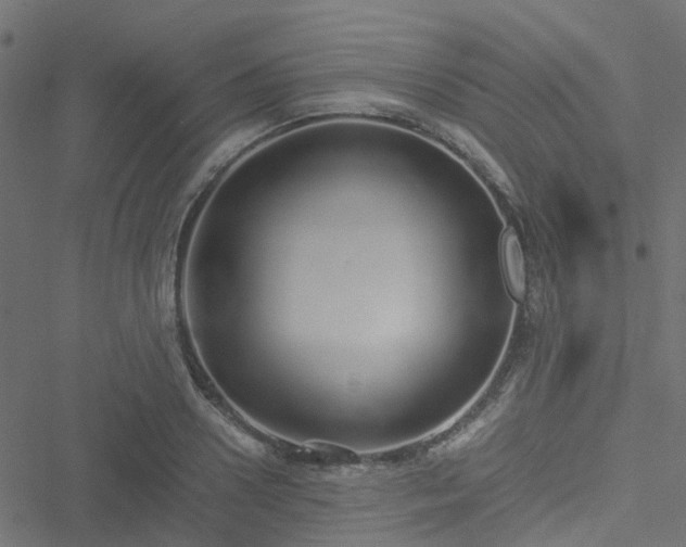 X0000051250938200506241543