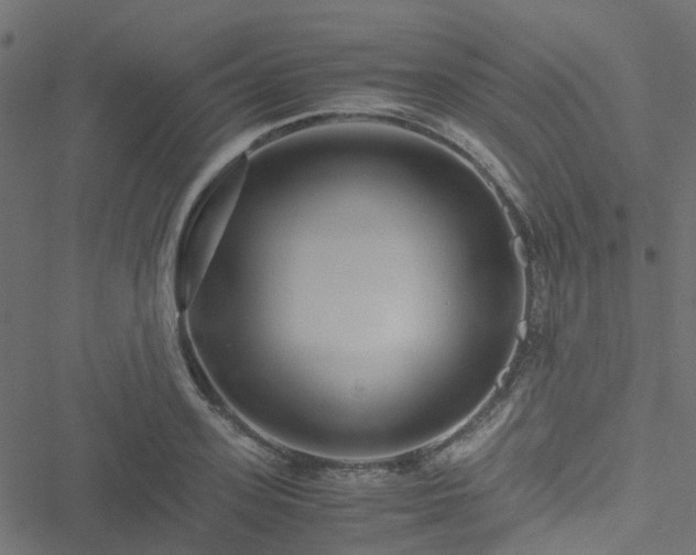 X0000051250939200506241543