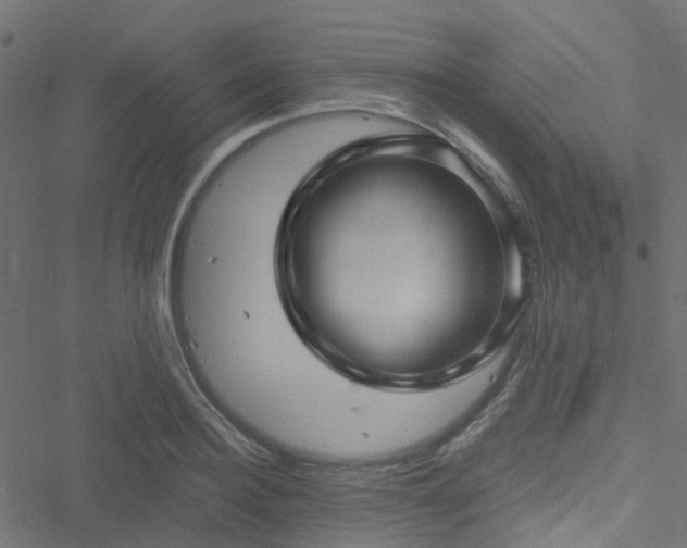 X0000051250940200506241543