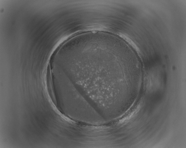 X0000051250941200506241543