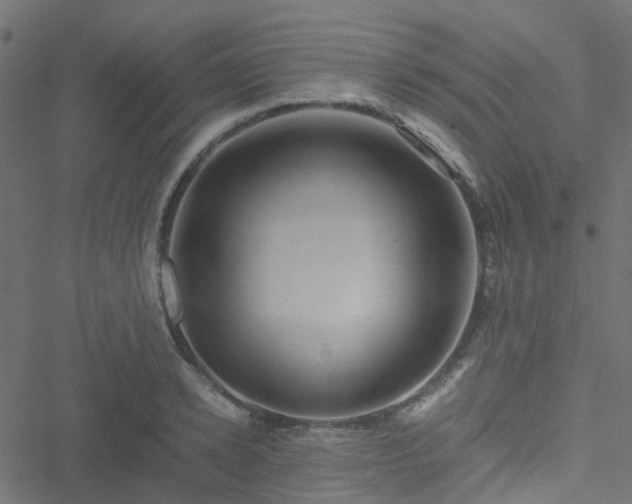 X0000051250942200506241543