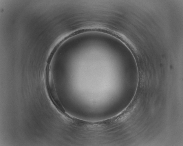 X0000051250943200506241543