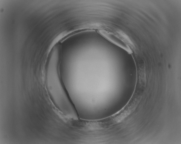 X0000051250944200506241543