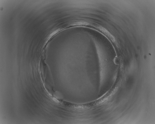 X0000051250945200506241543