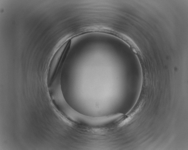 X0000051250946200506241543