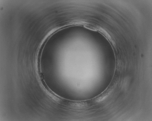 X0000051250947200506241543