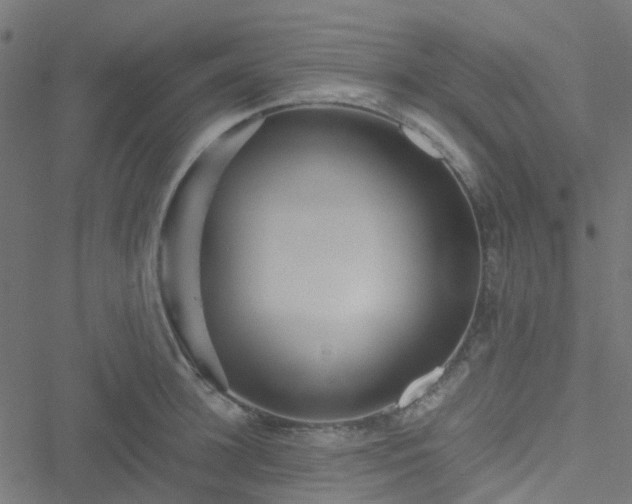 X0000051250948200506241543