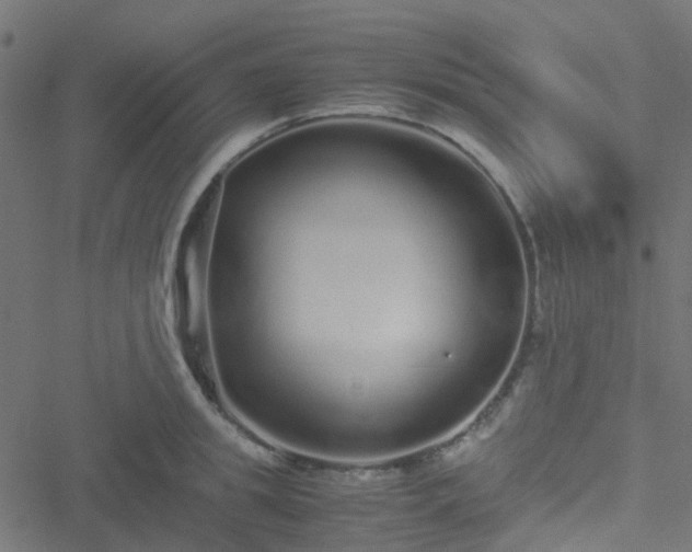 X0000051250949200506241543