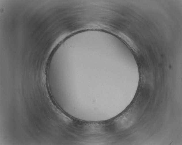 X0000051250950200506241543