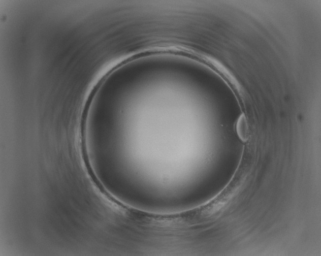 X0000051250951200506241543