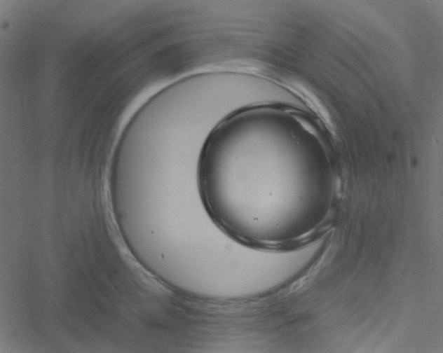 X0000051250952200506241543