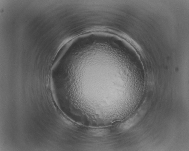 X0000051250953200506241543