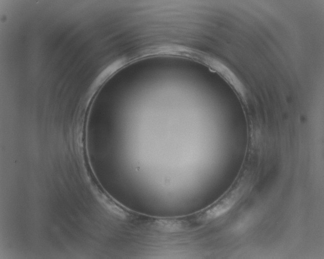 X0000051250954200506241543