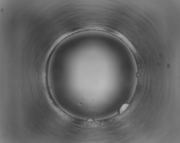 X0000051250955200506241543