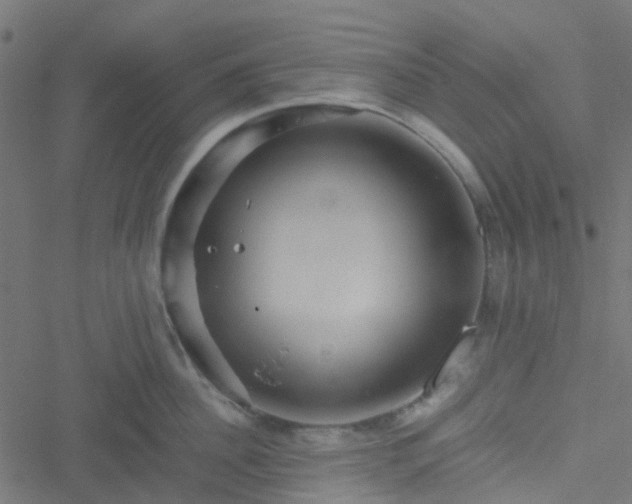 X0000051250956200506241543