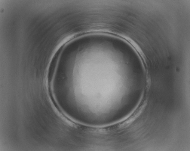 X0000051250957200506241543