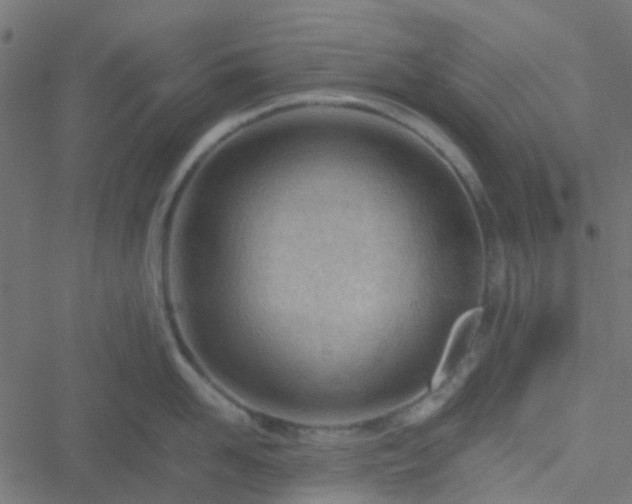 X0000051250958200506241543