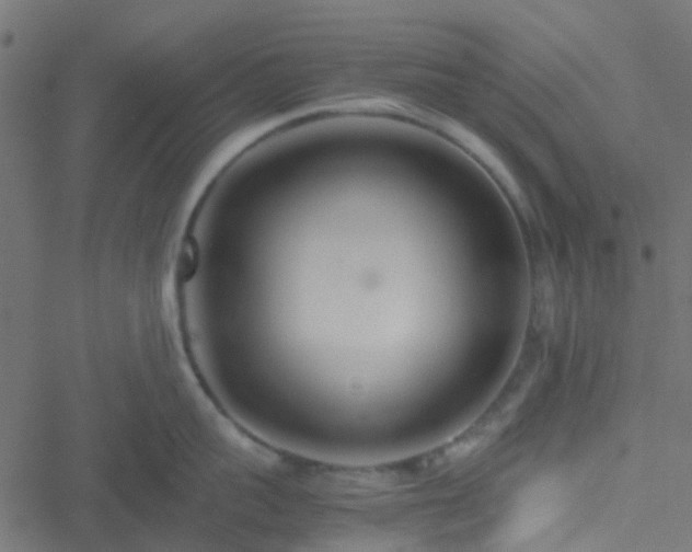 X0000051250959200506241543