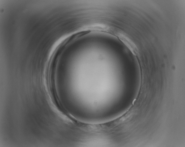 X0000051250960200506241543