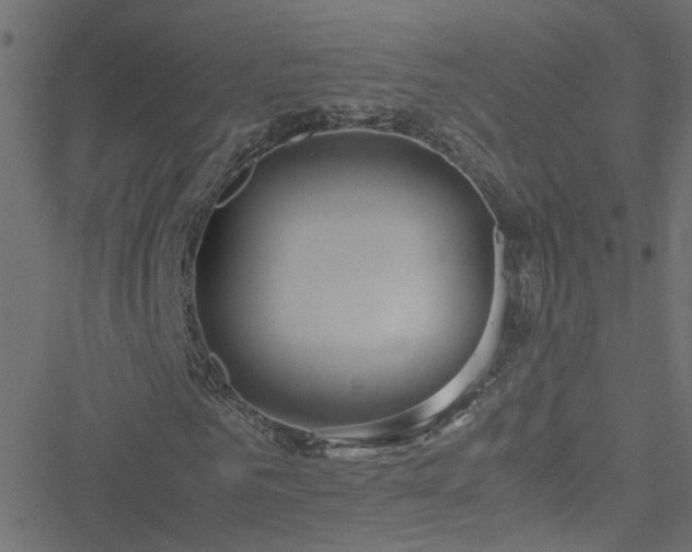 X0000051250961200506241542