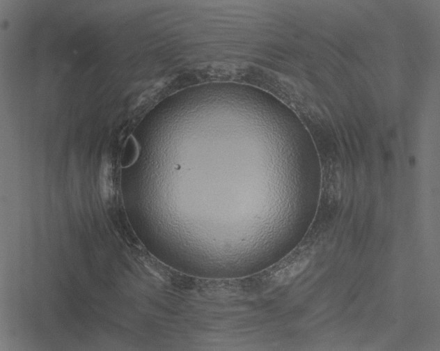 X0000051250962200506241542