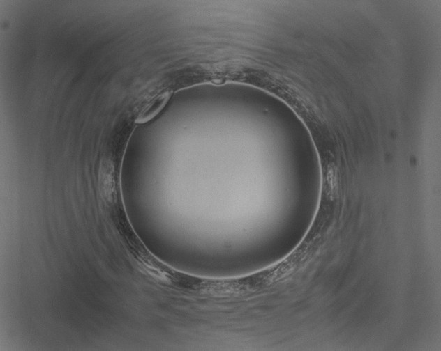 X0000051250963200506241542