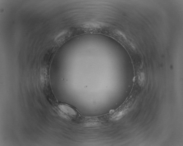 X0000051250964200506241542