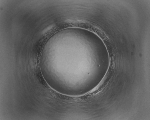 X0000051250966200506241542