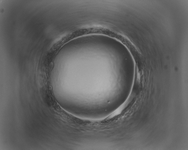 X0000051250967200506241542