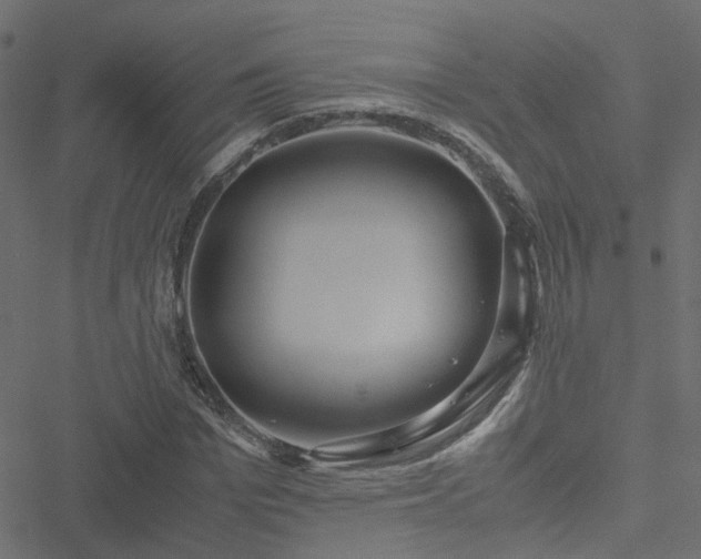 X0000051250969200506241542