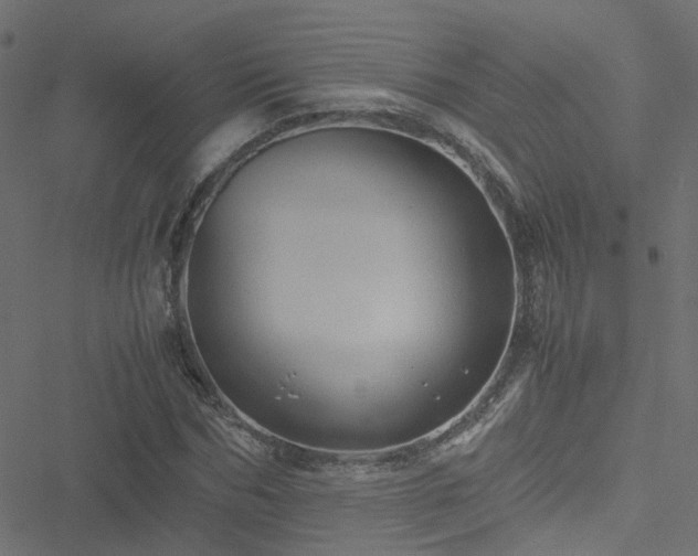 X0000051250970200506241542