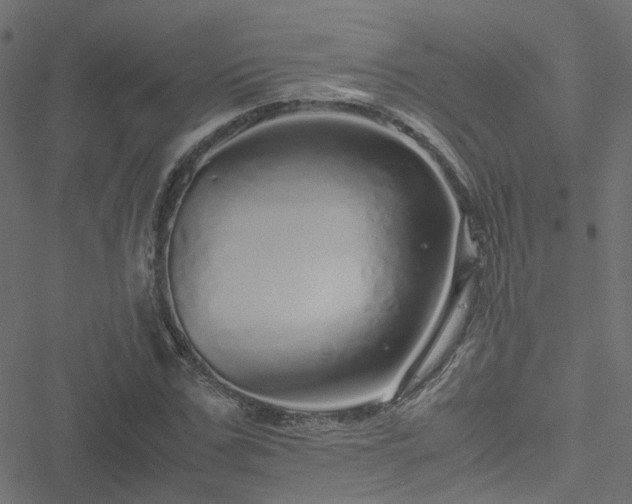 X0000051250971200506241542