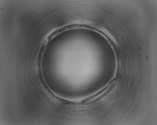 X0000051250972200506241542