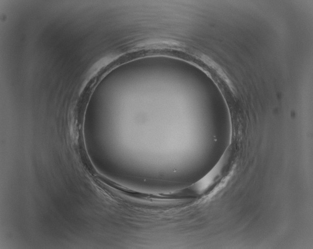 X0000051250973200506241542