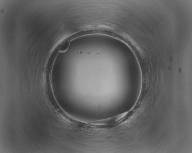 X0000051250975200506241542