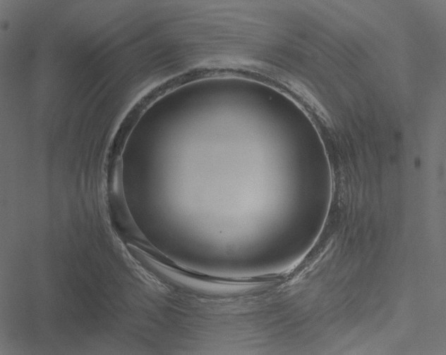 X0000051250976200506241542