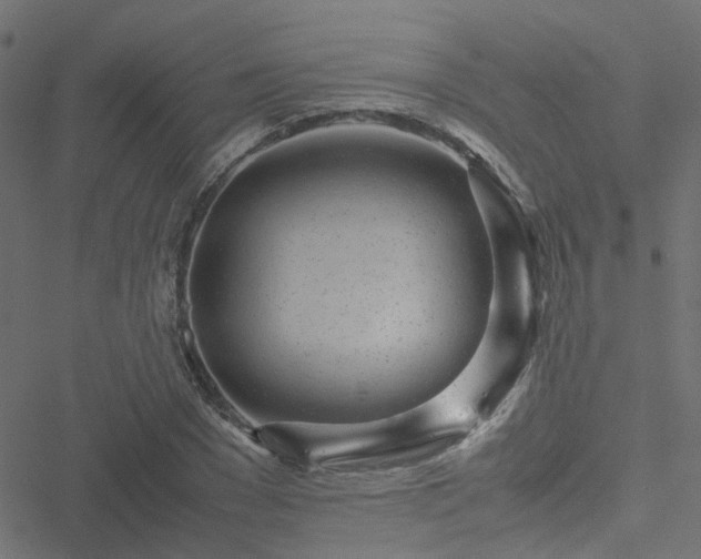 X0000051250977200506241542