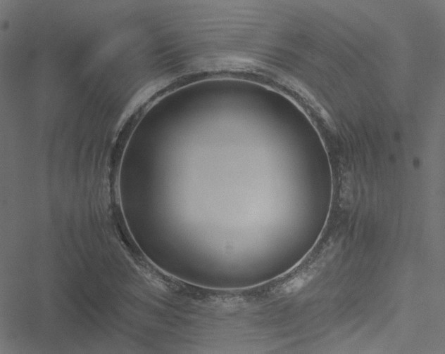 X0000051250978200506241542