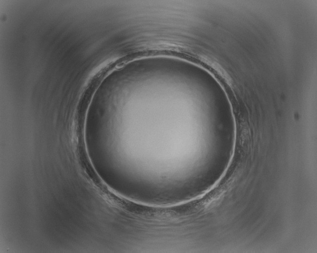 X0000051250979200506241542